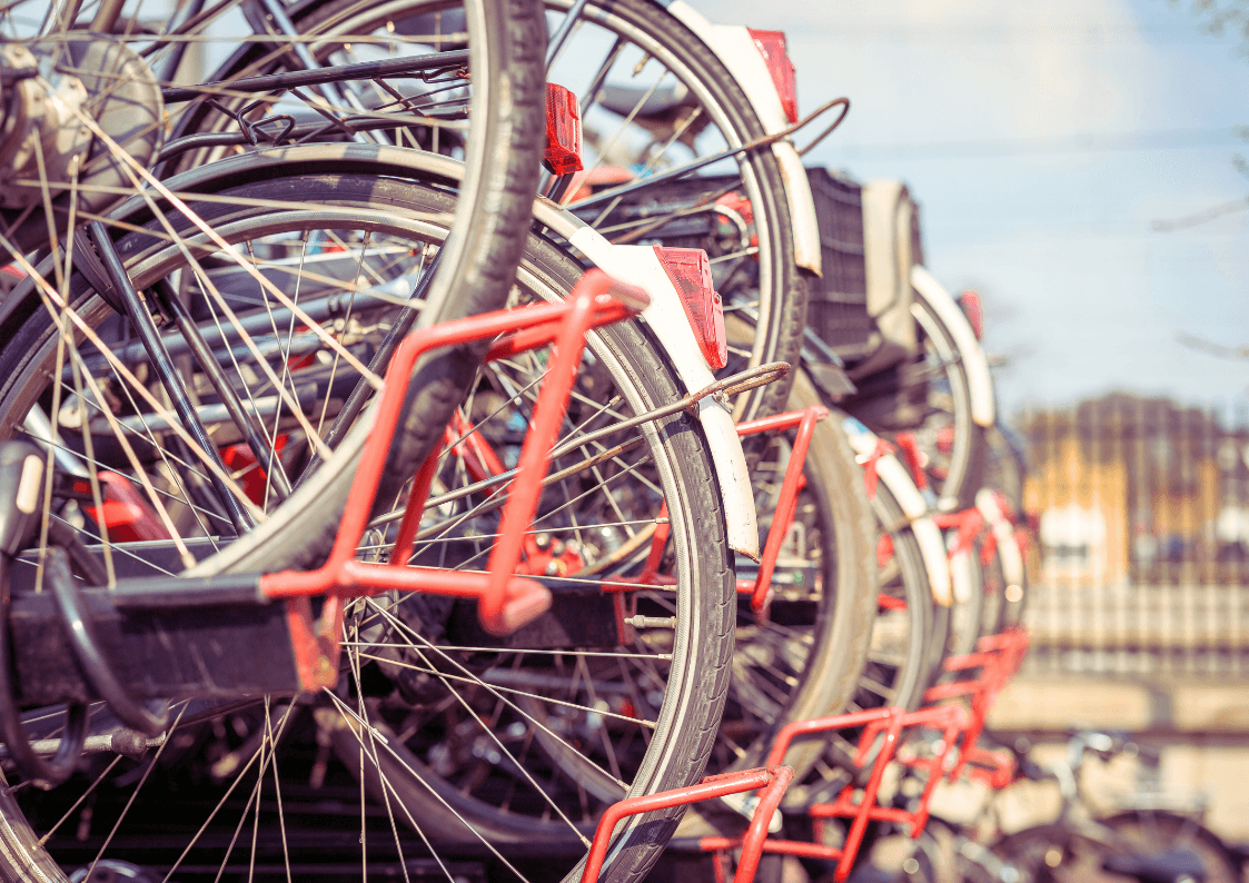 Weesfietsen Weesfietsen